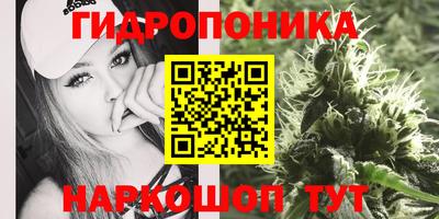 apvp Ливны