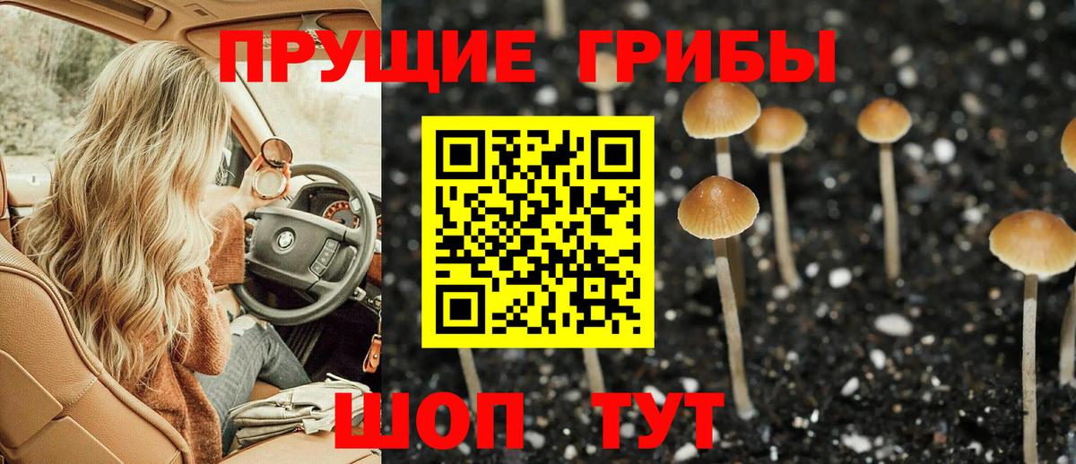 Псилоцибиновые грибы мухоморы Вольск